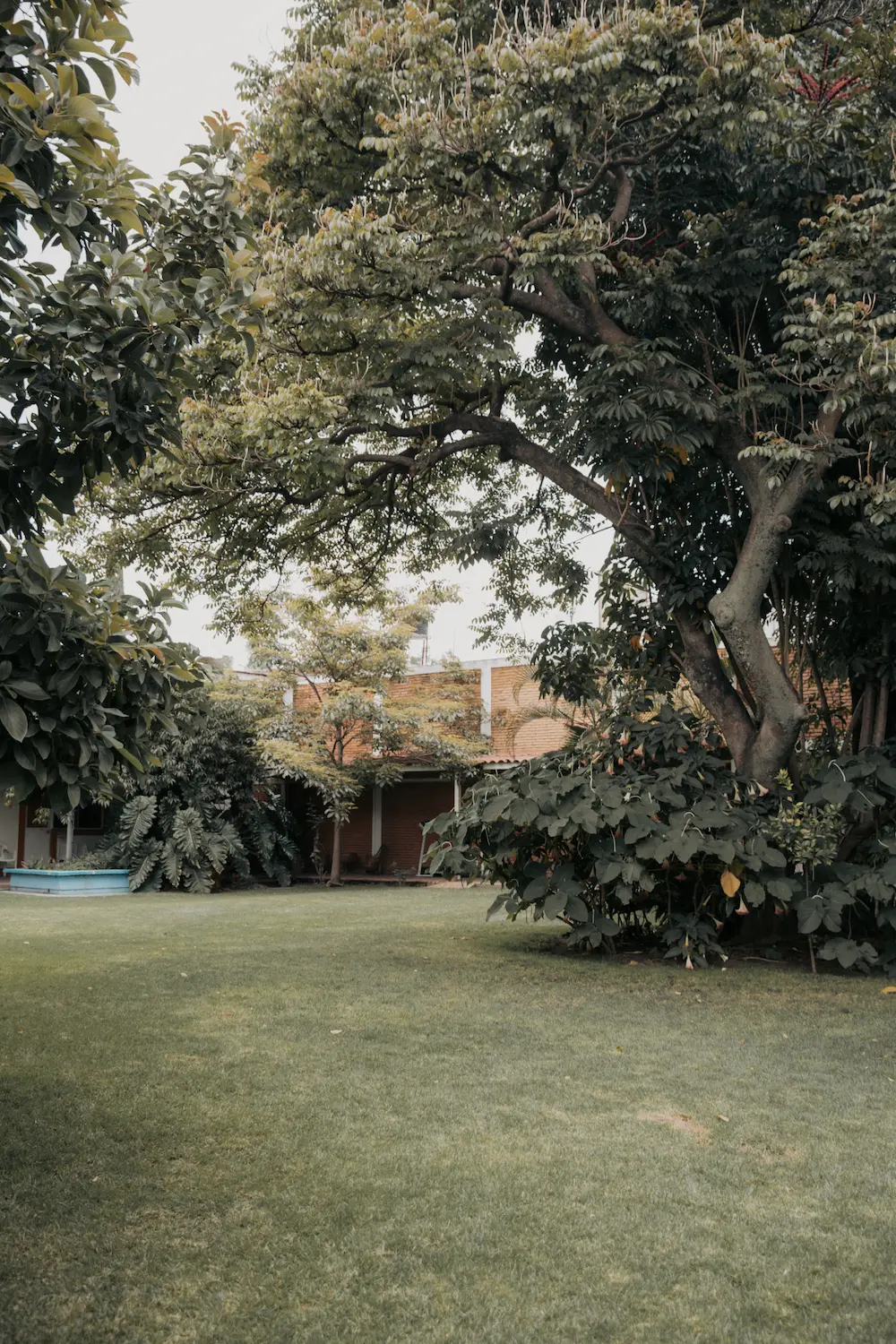 Patio arbolado de una hacienda